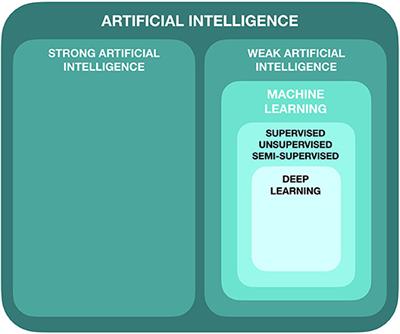 Review of Machine Learning in Predicting Dermatological Outcomes